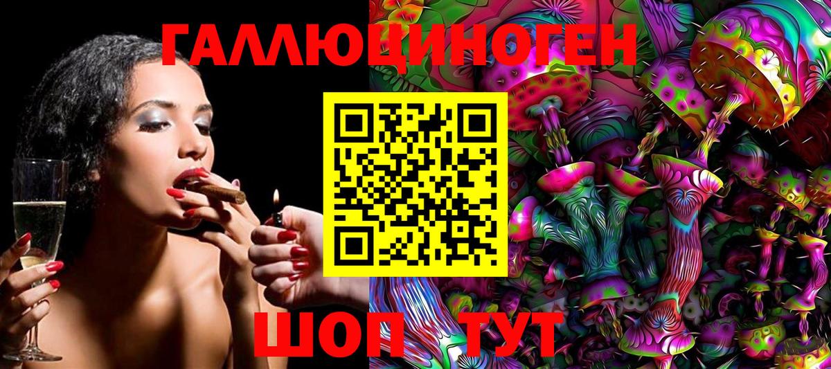 Кохма  Псилоцибиновые грибы GOLDEN TEACHER  Псилоцибиновые грибы Psilocybe  Вход с VPN 