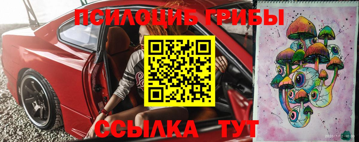 Галлюциногенные грибы Psilocybine cubensis Кохма